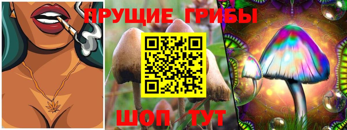 Тимашёвск  Галлюциногенные грибы прущие грибы  Вход с VPN 
