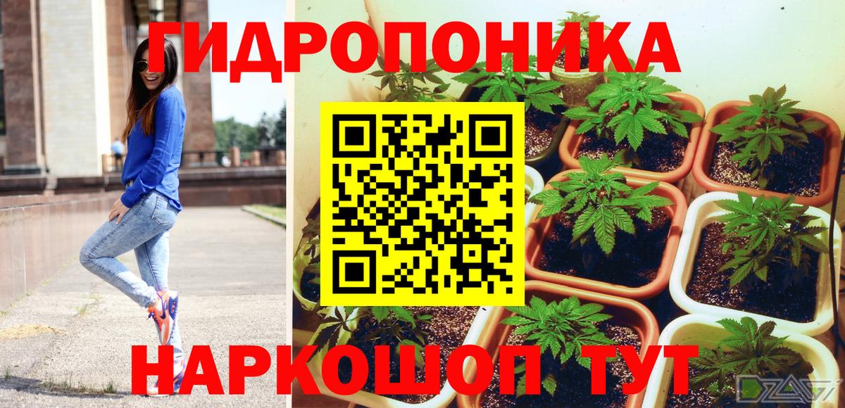 Лсд 25 Тимашёвск